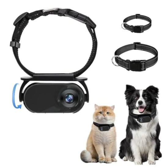 Pet Adventure Camera Collar