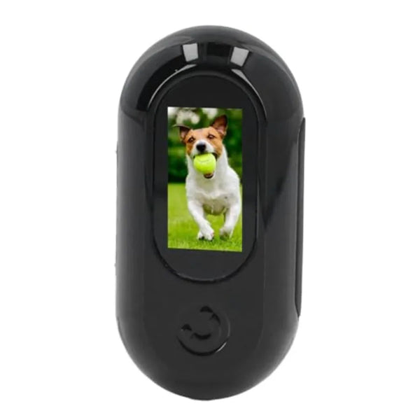 Pet Adventure Camera Collar