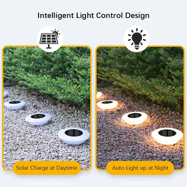 Solar Bright Path Lights